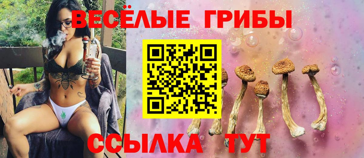 Галлюциногенные грибы ЛСД Свободный