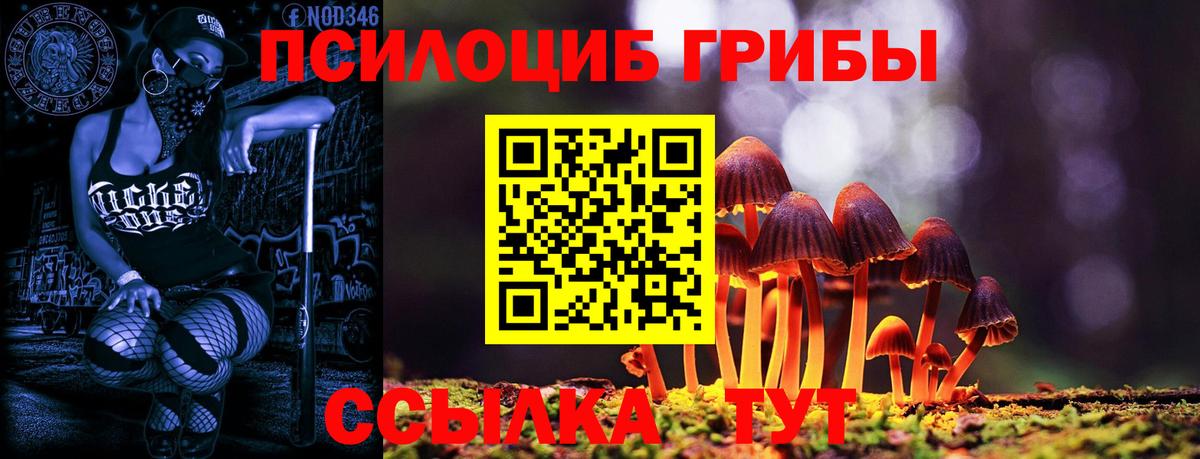 Псилоцибиновые грибы Psilocybine cubensis  Вход с VPN  Свободный 